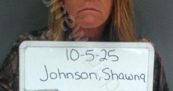 JOHNSON, SHAWNA LEE | 2026-03-22 02:24:00 Sebastian County, Arkansas Booking