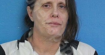 CHATMAN, CYNTHIA DENSIE | 2026-03-22 23:02:00 Sullivan County, Tennessee Booking