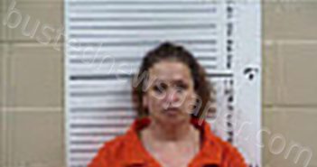 STINCHCOMB, CRISTIN ELISE | 2026-03-23 14:33:00 Cherokee County, North Carolina Booking