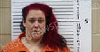 KING, AMANDA MARY | 2026-03-23 13:22:00 Cherokee County, North Carolina Booking