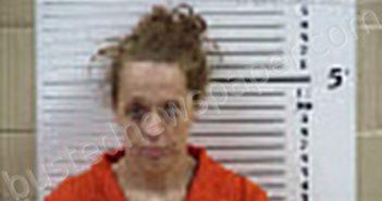 STILES, SAVANNAH LEA | 2026-03-23 19:25:00 Cherokee County, North Carolina Booking