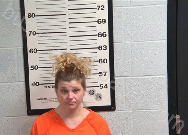 MEZYK, AMANDA LEE #, Jackson County, North Carolina - 2026-03-24 17:02:00