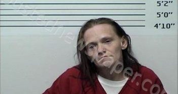 RICHARDSON, ANASTASIA L | 2026-03-24 Rhea County, Tennessee Booking