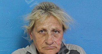 BROWN, JANICE MARIE | 2026-03-24 11:13:00 Sullivan County, Tennessee Booking