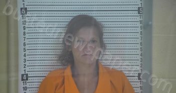 DAVIS, SHERRY N | 2026-03-24 12:14:00 Taylor County, Kentucky Booking