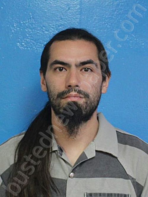 MCLENITHAN, TYLER JAMES #, Sullivan County, Tennessee - 2026-03-24 01:11:00