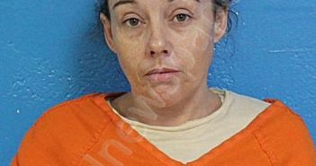 NEAL, CHRISTINE NICH0LE | 2026-03-24 07:49:17 Sullivan County, Tennessee Booking