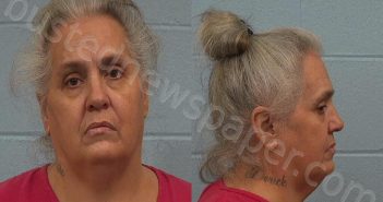 LOPEZ, MICHELE LYNN | 2026-03-24 Williamson County, Texas Booking