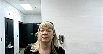 FERRANTO, VIRGINA ERIN | 2026-03-25 09:06:00 Fulton County, Arkansas Booking