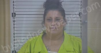 DAVIS, AMANDA GAYLE | 2026-03-25 10:41:00 Taylor County, Kentucky Booking