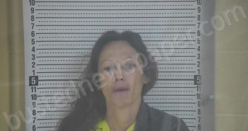 WEBB, DEANNA FAYE | 2026-03-25 17:19:00 Taylor County, Kentucky Booking