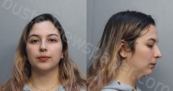 RAMIREZ, VIVIANA | 2026-03-25 00:17:00 Miami-Dade County, Florida Booking