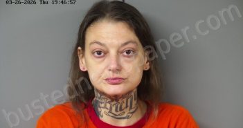 SHEPHERD, CIARA ASHLEY | 2026-03-26 16:41:05 Fayette County, Ohio Booking