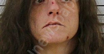 ANDERSON, LEAH VINES | 2026-03-26 06:39:53 Carter County, Tennessee Booking