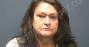 DEVANE, ELIZABETH A | 2026-03-26 11:19:00 Sevier County, Tennessee Booking