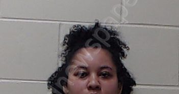 CARTER, CHELSEA NICOLE | 2026-03-26 14:25:00 Dixie County, Florida Booking