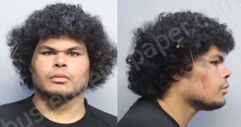 <B>RICARDO</B>, <B>STEPHEN</B> #, Miami-Dade County, Florida - 2026-03-26 12:28:00