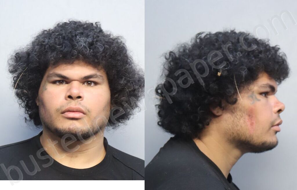 RICARDO, STEPHEN #, Miami-Dade County, Florida - 2026-03-26 12:28:00