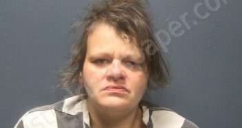 COLLINS, KELLY D | 2026-03-26 04:20:00 Sevier County, Tennessee Booking