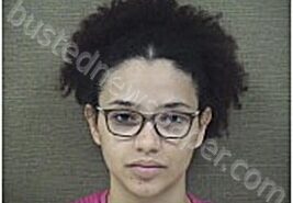 ORTIZ, HAZEL | 2026-03-26 Harnett County, North Carolina Booking