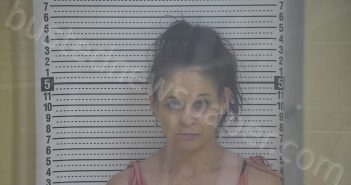 MOSS, JENNIFER RENEE | 2026-03-26 21:26:00 Taylor County, Kentucky Booking