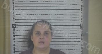 LOGSDON, JOANNA | 2026-03-27 10:11:00 Taylor County, Kentucky Booking