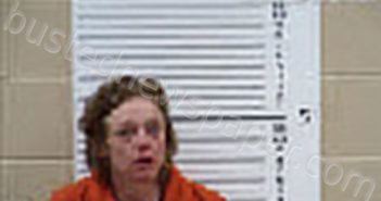 CARTER, DEANN BARAE | 2026-03-27 21:55:00 Cherokee County, North Carolina Booking