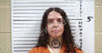 EDWARDS, ALLISON RENAE | 2026-03-28 20:53:00 Cherokee County, North Carolina Booking