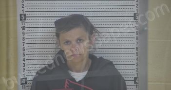 RAKES, CASEY LEE | 2026-03-28 14:57:00 Taylor County, Kentucky Booking