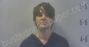 INGRAM, SARA ELAINE | 2026-03-30 11:35:00 Pulaski County, Indiana Booking