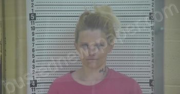 PERKINS, TERI BETH | 2026-03-30 22:10:00 Taylor County, Kentucky Booking