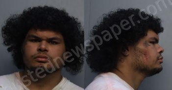 <B>RICARDO</B>, <B>STEPHEN</B> #, Miami-Dade County, Florida - 2026-03-31 16:55:00