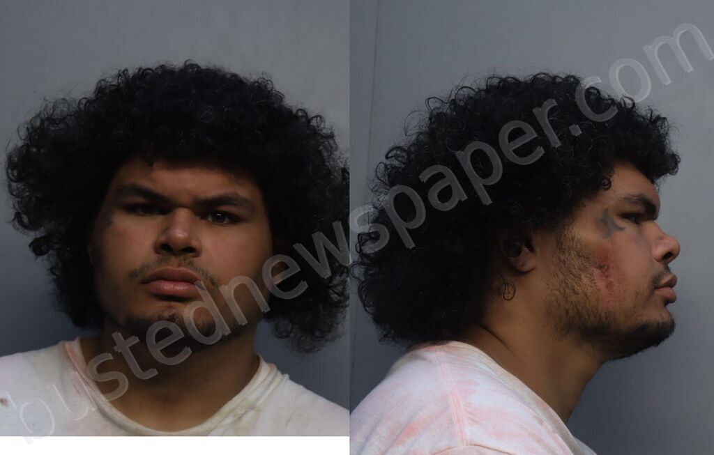 RICARDO, STEPHEN #, Miami-Dade County, Florida - 2026-03-31 16:55:00