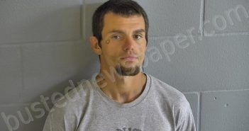 BROWN, STEVEN | 2026-04-01 10:22:00 Levy County, Florida Booking