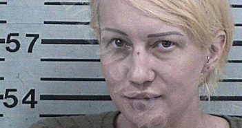 PISAREK, HEATHER WHELAN | 2026-04-01 06:45:45 Hood County, Texas Booking
