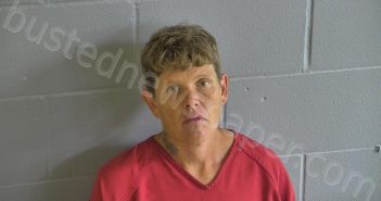 BRUNGER, OPAL FAYE | 2026-04-02 11:13:00 Levy County, Florida Booking