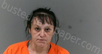 LIGHT, CHASITY DAWN | 2026-04-02 03:30:00 Boone County, West Virginia Booking