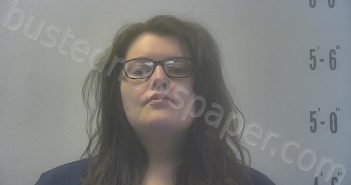 RAINWATER, LACEY DANIELLE | 2026-04-02 02:46:00 Pulaski County, Indiana Booking