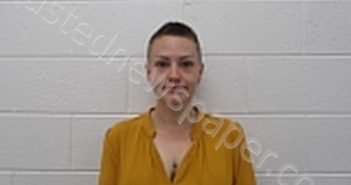 WILLIS, AMANDA N | 2026-04-04 22:11:00 Hamblen County, Tennessee Booking