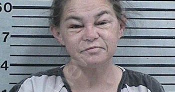 MILLER, AMANDA LOUISE | 2026-04-04 04:11:07 Hood County, Texas Booking