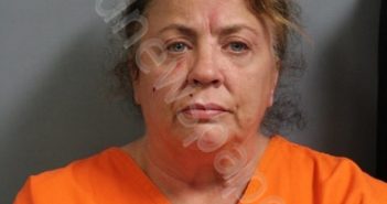 STATTS, TINA ANN | 2026-04-06 00:20:00 Boone County, West Virginia Booking