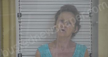 SEITZ, TELINA F. | 2026-04-06 19:25:00 Taylor County, Kentucky Booking