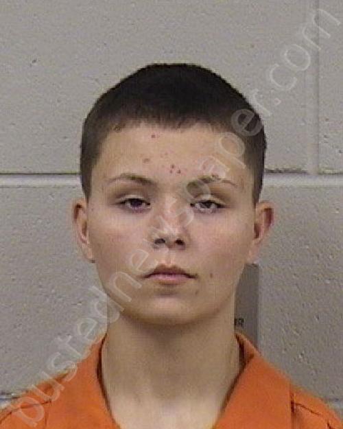 SUTTON, MYKALE JAYLYNN PAIGE #, Dickinson County, Kansas - 2026-04-08 16:06:00