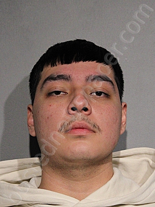 Edwin J Diaz | 2026-04-08 20:50:00 Cook County, Illinois Booking