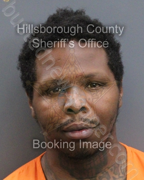 CHILDS, JANARD DOMINIC #, Hillsborough County, Florida - 2026-04-08 10:43:00