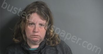 DORMAN, HEATHER DIANNE | 2026-04-09 16:29:00 Johnson County, Iowa Booking