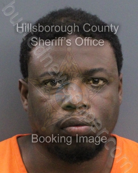 BROWN, GREGORY DEANDRE #, Hillsborough County, Florida - 2026-04-09 17:23:00