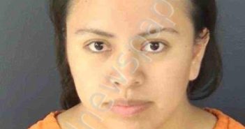 FUENTES GOMES, NANCY | 2026-04-09 Sarasota County, Florida Booking