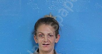 WILLIAMS, SHANNON L | 2026-04-10 14:53:02 Sullivan County, Tennessee Booking