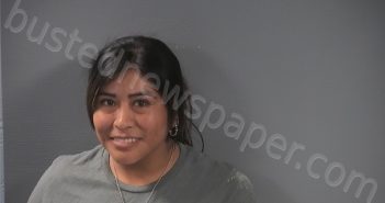 VERDUGO MATUL, SILVIA | 2026-04-10 16:25:00 Johnson County, Iowa Booking